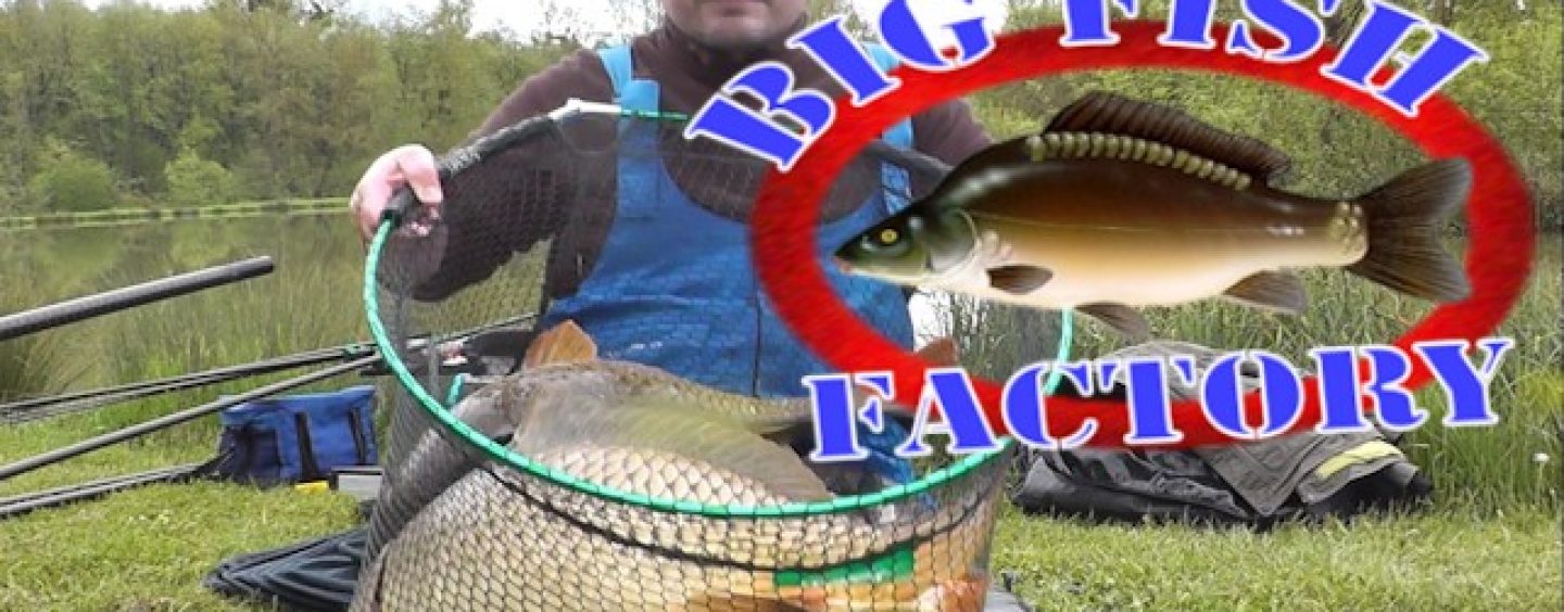 Pêche de la carpe au coup hors carpodrome – big fish factory