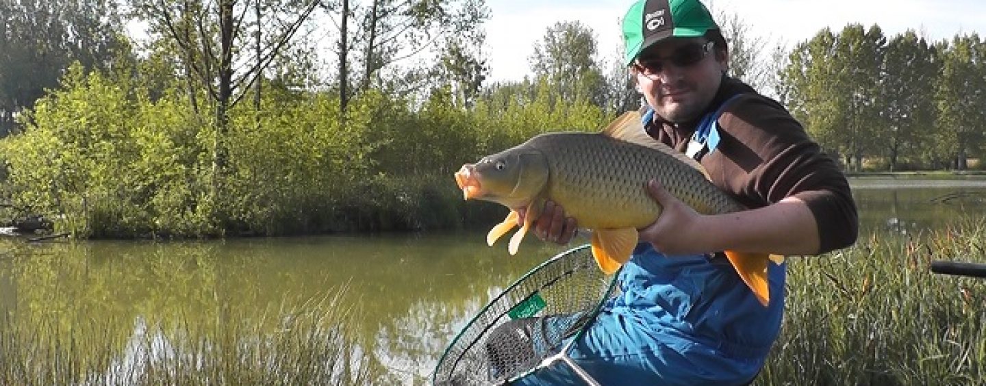Pêche de la carpe au coup hors carpodrome – Big Fish Factory 1 – Les îles