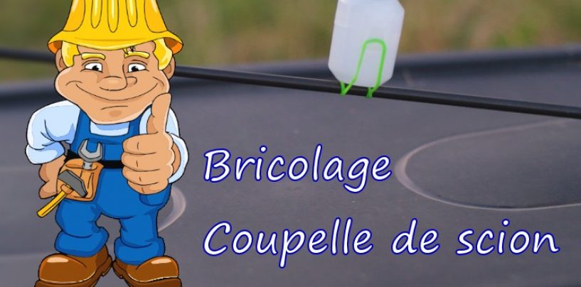 Coupelle de scion maison – Netpeche Cup